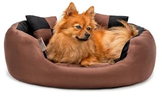 lionto Hundebett 4-in-1 mit Wendekissen aus robustem Oxford, 65x50 cm, Heimtierkissen Kratzfest mit tiefem Einstieg für Katzen und Hunde Aller Größen, inkl. Zierkissen, wasserabweisend, schwarz/braun