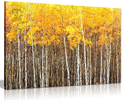 Yellow Grey Aspen Trees Forest Nature Oil Painting Canvas Wall Art Picture Print (24x16)