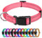 TagME Nylon Hundehalsband, Verstellbares Reflektierendes Hundehalsband mit Sicherheitsschnalle für Kleiner Hund, Rosa, 2.0cm Breite