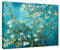 Wieco Art - Mandelblüte, moderner gerahmter Giclée-Leinwanddruck von Van Gogh, berühmte Ölgemälde, Reproduktion, Blumen, Bilder auf Leinwand, Wandkunst, fertig zum Aufhängen für Schlafzimmer, Heimdekoration