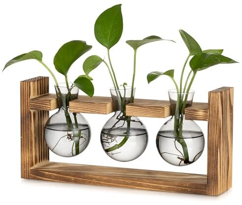 Glasseam Pflanzen Propagation Station für Wohnzimmer: Kleine Vase Glas Mini Terrarium mit Holz Rahmen für Home Büro Regal Tischdeko Fensterbank - Grau Blumenvase Vintage Deko für Plant Hydrokultur