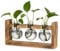 Glasseam Station de Propagation en Verre pour Maison: Vintage Terrarium Plante avec Cadre en Bois pour Intérieur Salon Cuisine Fenêtre Table Décor - Gris Vase Fleur pour Plantes Hydroponie Bouturage