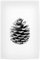 artboxONE Poster 30x20 cm Natur Pinecone hochwertiger Design Kunstdruck - Bild Pinecone Natur Nature