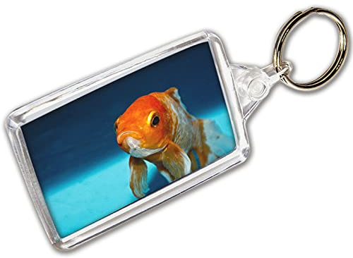 AK Giftshop Goldfisch Schlüsselanhänger Foto Schlüsselanhänger, Schlüsselanhänger