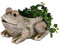 formano Pflanzgefäß Steinoptik Frosch Blumentopf Gartendeko