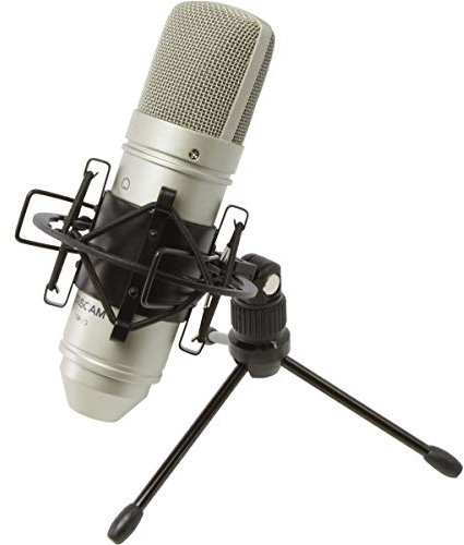 TASCAM TM-80 - Microfono a Condensatore per Home Studio Recording