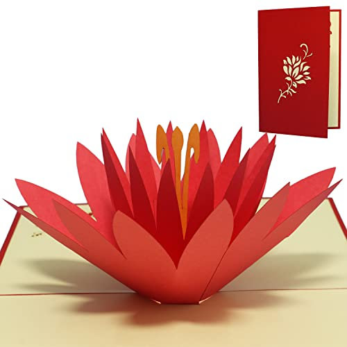 LINPopUp®, Pop Up 3D Karte, Geburtstagskarte, Glückwunschkarte Gutschein, Seerose, N39