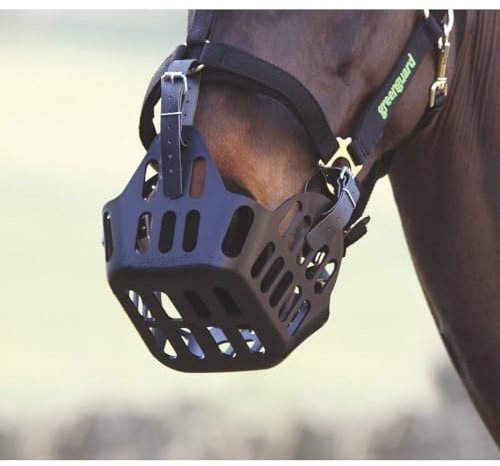 Shires - MJ Ainge and Co Ltd Greenguard Horse Grass Muzzle in Black Full Size