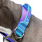Spark Paws Taktisches Hundehalsband – Robuste, Premium-Qualität, Dick und Langlebig für Große und Mittelgroße Hunde - 90s Retro - S: 16-25kg [3.8cm]
