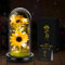 Cadeau Noel Femme,Fleur Eternelle sous Cloche avec LED, Tournesols Cadeau pour Homme Femme Maman Mère Grand-mère, Cadeau éternel pour Femme pour la Thanksgiving fête des mères, Anniversaire, Noël