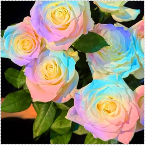 Winterharte Gartenrosen (Rosen) - Mehrjährige & Duftende Rosenpflanzen - Robust & Pflegeleicht - Für Beet, Kübel & Rabatten-4 stück-F