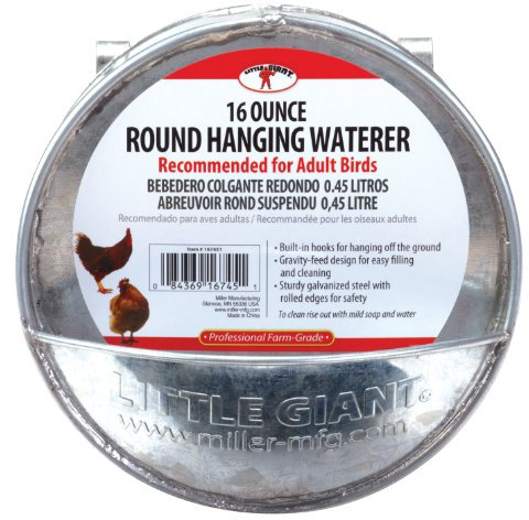 Little Giant 167451 Wasserspender zum Aufhängen, 1 Pint, Natur