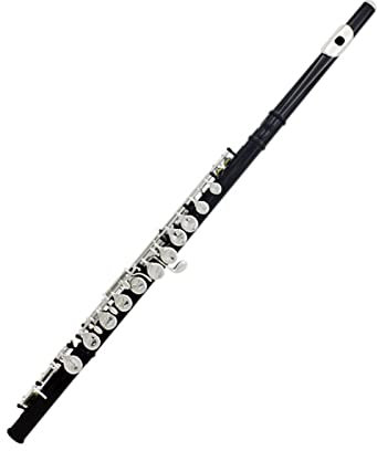 16-Loch-C-Key-Flöte, Kupfernickel-beschichtetes Silber, Holzbläser Mit Reinigungstuch, Stickhandschuhe, Gepolstertes Etui Querflöte Anfänger (Color : Bk)