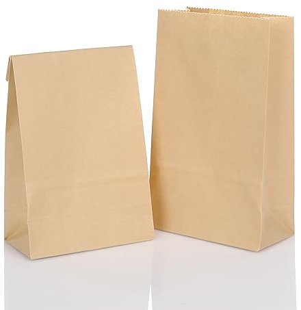 CraftWerk Kraftpapiertüten Geschenktüten klein 100 St. - Ideal als Tüte zum selber befüllen für Kindergeburtstag und DIY Adventskalender 2024-16 x 9 x 5 cm