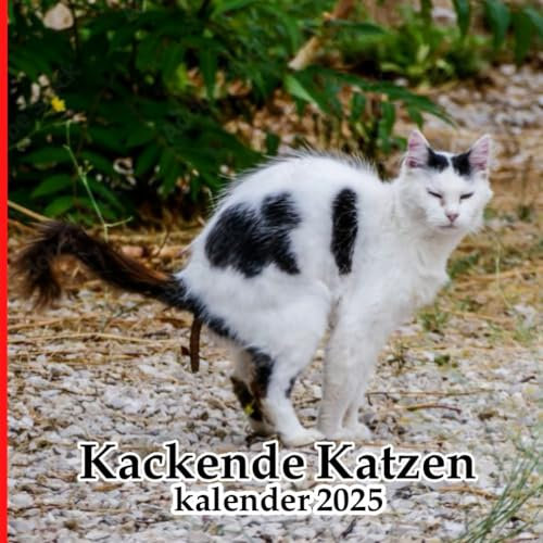 Kackende katzen kalender 2025