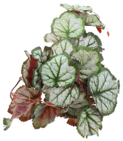 FIXOSHEE Künstliche Reptilienpflanze Hängend Mit Saugnapf Grünes Kunststoffblatt Für Terrarien Dekoration Reptilienhabitat Versteck