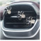 JNNJ 6 Stück Gänseblümchen Auto Lufterfrischer Lüftungsclips, Daisy Car Air Vent Diffusor Clips, Auto Lufterfrischer Clip Innen Deko Anhänger Bunte, Zubehör(Schwarz)