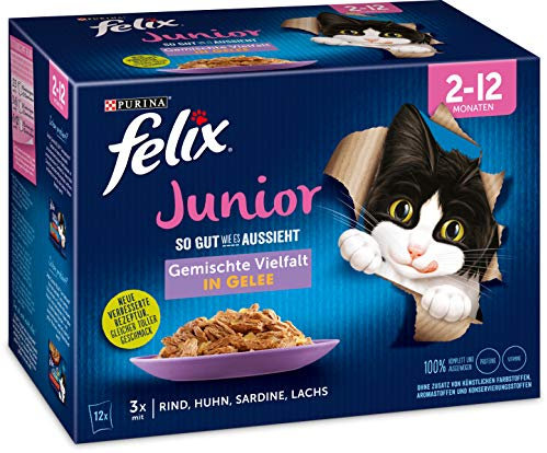Felix Katzennassfutter So gut wie es aussieht in Gelee Junior gemischte Vielfalt , 6er Pack (6 x 12 x 85 g )Portionsbeutel