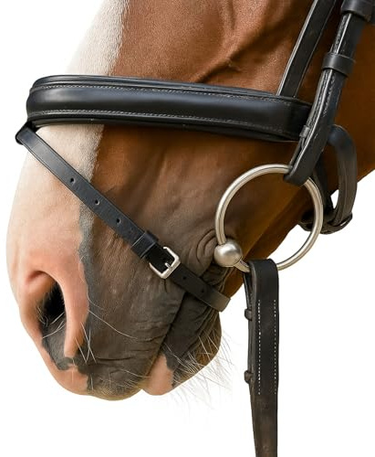 Pferdelinis Sperrriemen Pferd, Ersatz-Sperrriemen für Trense Pferd aus schwarzem Leder – Größen Pony, Cob, Warmblut, Kaltblut mit Edelstahlschnalle (Schwarz, Warmblut (Full))