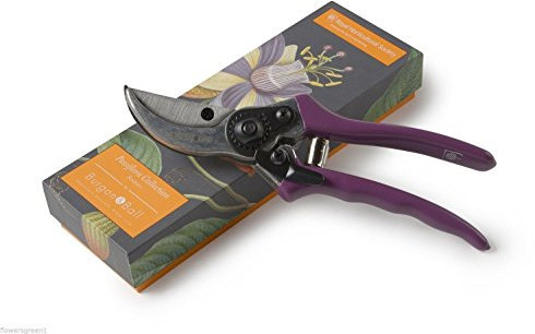 Burgon & Ball RHS Endorsed Bypass Passiflora Secateur, 20.3 cm Length