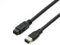 PASOW Câble FireWire 800 vers 400 9 vers 6 broches (9 broches 6 broches) 6FT, IEEE 1394 Firewire 800 9 broches/6 broches (9 broches vers 6 broches)