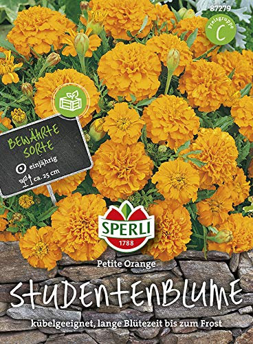 Sperli 87279 Studentenblume Petite Orange (Studentenblumensamen)