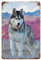 Husky,Metallschild Aluminium Wanddekoration, Poster Geschenk für Zuhause, Schlafzimmer, Bar, Restaurant, Café, Club-30 x 40 cm (12 x 16 Zoll) E-65