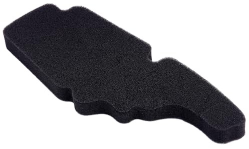 Road Passion Filtri Aria 843194 8431940P Compatibile con Piaggio Scooter 50 Vespa Primavera 4T 3V 30 MPH 2019 2020 2021 2022/50 Vespa Primavera 4T 3V E4 2020/50 Vespa Sprint 2010 2011 2012