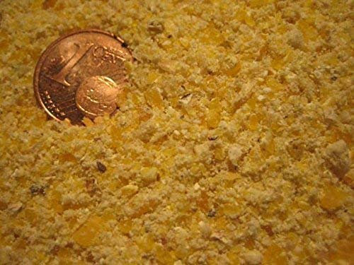 CommonBaits MAISMEHL grob 2,5Kg