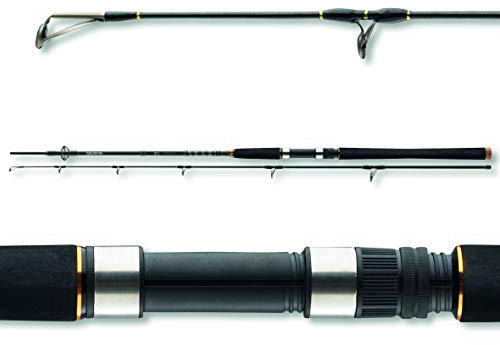 Daiwa BG Pilk 3,00m 50-165g Bootsrute Meeresrute