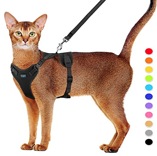 Supet Katzengeschirr und Leine Set Fluchtsicheres Kätzchengeschirr Verstellbares Katzenwestengeschirr mit Reflexstreifen Universelle Katzenleine und -Geschirr für Katzen/Welpen M