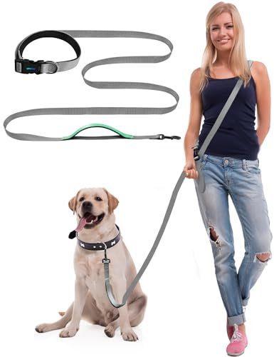 WANFIRE Freihandleinen für Hunde, Hundeleine für Mittelgroße Hund,Joggingleine Hunde Zum Gehen Joggen Laufen Training Dog Leash. (1.5-2.7m)