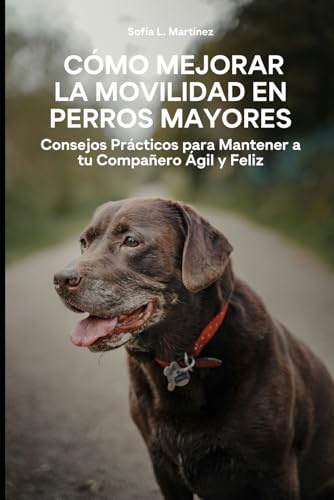 Cómo Mejorar la Movilidad en Perros Mayores: Consejos Prácticos para Mantener a tu Compañero Ágil y Feliz