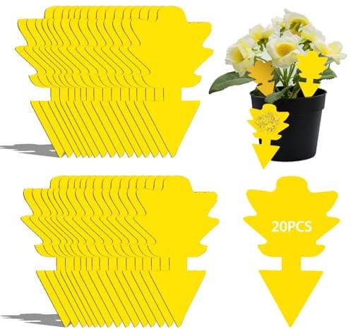 Schabenfalle 10 Stück, Kakerlakenfallen zur Bekämpfung von Schaben, Bettwanzen und Staubläusen - Ungiftige Monitoring-Falle, Kakerlaken-Klebefalle für Küche (10, Grün)