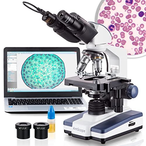 AmScope - Binocolo digitale 40x-2.500x a LED con microscopio con fase 3D + fotocamera USB 5 MP - B120C-E5