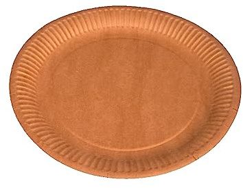 Pro DP 500 Pappteller rund Ø 23cm Kuchen- Imbiss- Grillteller Papierteller Einwegteller braun Bio Frischfaser fettdicht kompostierbar