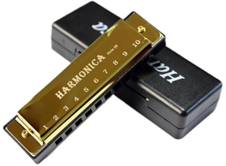 Harmonika Für Schüler 10 Löcher Tonart C Blues Mundharmonika Mundharmonika Anfänger Tremolo Holzbläser Edelstahl Mundharmonika(Gold)