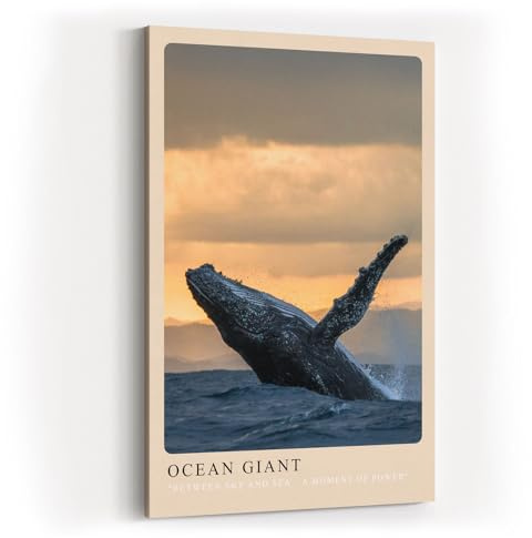 Paul Sinus Kunstdruck 40x60cm Ocean Giant Sprung eines Wals aus dem Wasser vor Sonnenuntergang