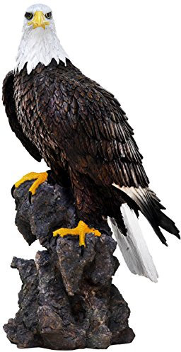 Sunny Toys 14649 Poly Weißkopfseeadler auf Fels Circa 50cm