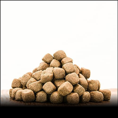 George & Bobs Ente & Lachs Adult | 3 kg | Getreidefrei | 70% Fleischanteil | Superfoods | Trockenfutter | Grünlippmuschel | für ausgewachsene Hunde