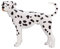 MOJO Dalmatiner Haustier Hund Bauernhof Tier Modell Spielfigur