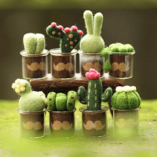 8 Cactus Lana de Merino Kit de Felting Lana Fieltro - Con Todos los Accesorios, Instrucciones - Regalo para Mamá, Abuela