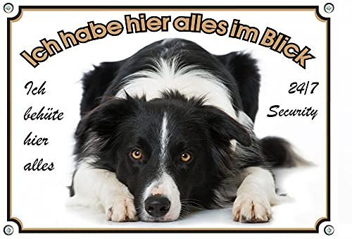 Petsigns wunderschönes Hundeschild Border Collie - Metallschild Premiumqualität - rostfrei und beständig, DIN A5