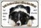 Petsigns wunderschönes Hundeschild Border Collie - Metallschild Premiumqualität - rostfrei und beständig, DIN A5