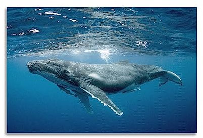 NOHF Meerestier-Poster, Buckelwal, schwimmend, Unterwasser-Poster, Wandkunstdruck, Retro-ästhetische Raumdekoration, Malerei, Leinwand, Poster für Zuhause und Büro, Dekorationen, 30 x 45 cm, ungerahmt