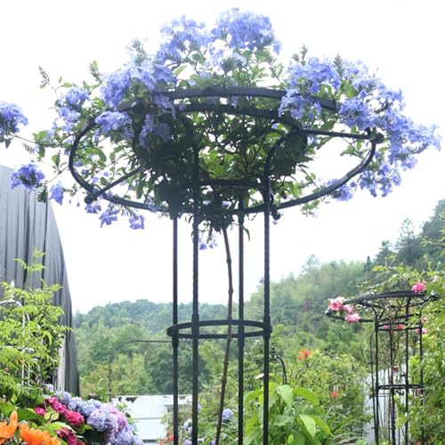 Treillis de Jardin Veal pour Plantes Grimpantes - Glycines, Roses et Vignes - Support en Métal Antirouille - Support Parapluie de 210cm - Étagère à Fleurs Extérieure (Noir, 210cm)