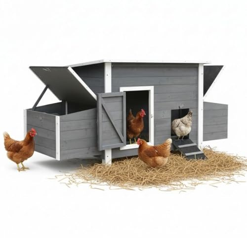 Melko Hühnerstall Hühnerhaus XXL für 6-8 Hühner 179x80x75 cm Holz Grau | 2 Nestboxen mit 4 Nistplätzen, Eientnahme über Klappdeckel, Reinigungsschubladen, erhöhte Standfüße, inkl. Rampe