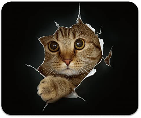 Audimi Cat Mouse Pad, Mouse Mat Non-Slip Rubber Base for Laptop PC Office Working Gaming Mouse Pad 9.5x7.9 Inch (24X20X0.3Cm)