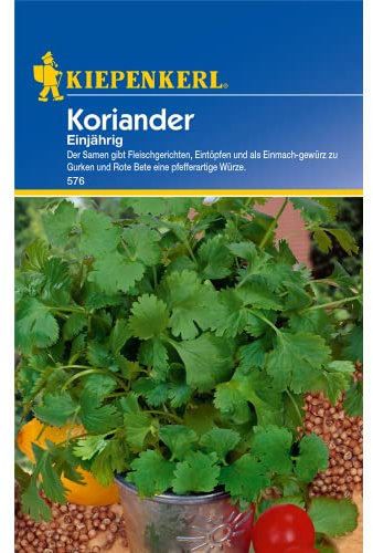 Sperli Gemüsesamen Koriander einjährig, grün
