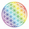 PPS. Imaging Fenstersticker Fensterfolie Blume des Lebens Regenbogenfarbe HxB: 70 x 70cm